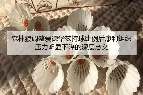 森林狼调整爱德华兹持球比例后康利组织压力明显下降的深层意义